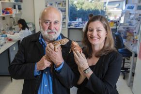 Professor Arthur Georges and Dr Clare Holleley
