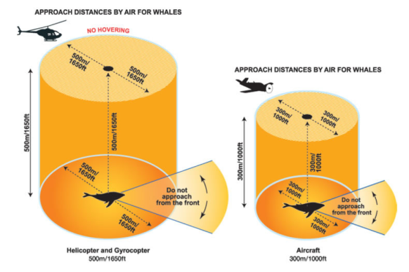 CASA flight restrictions over whales