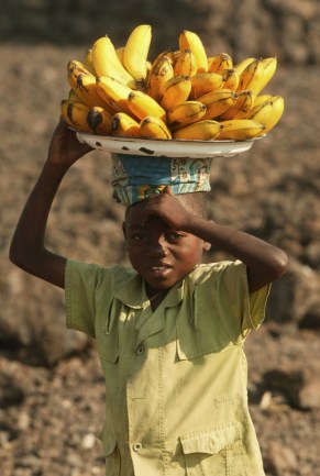 bananas