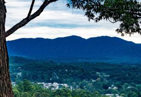 NBN Bellingen local council