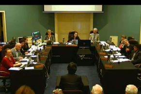 Darebin council