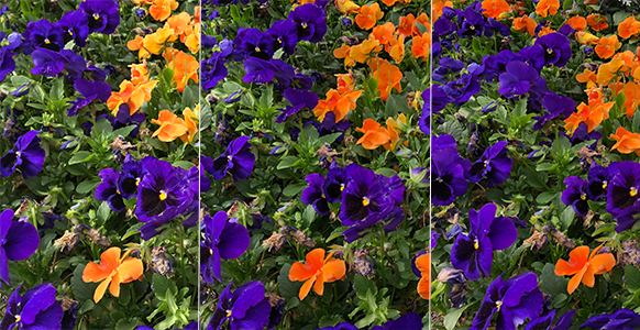 iphone 8 photo comparison