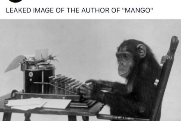 Comparing Ellen van Neerven to a monkey