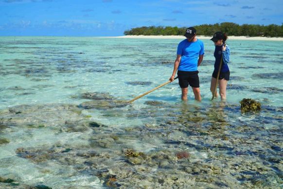 British tourists walk on the reef