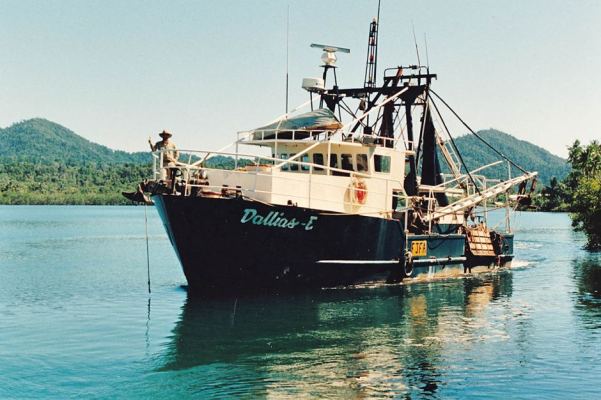 The prawn trawler, Dallias E, which sank 50 nautical miles north east of Townsville and is today a recognised deep dive site.
