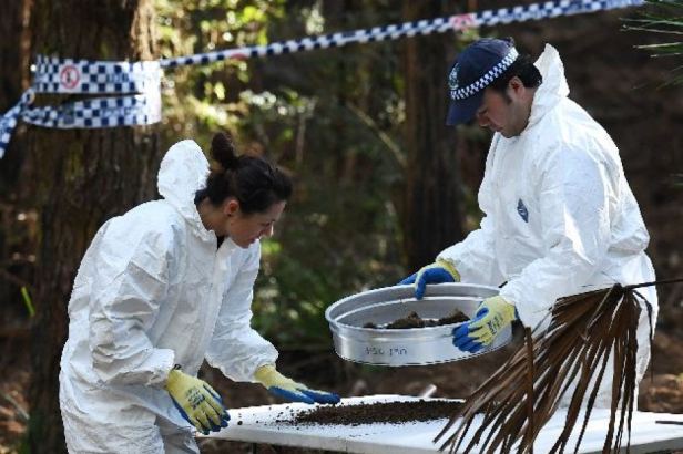 matthew leveson search