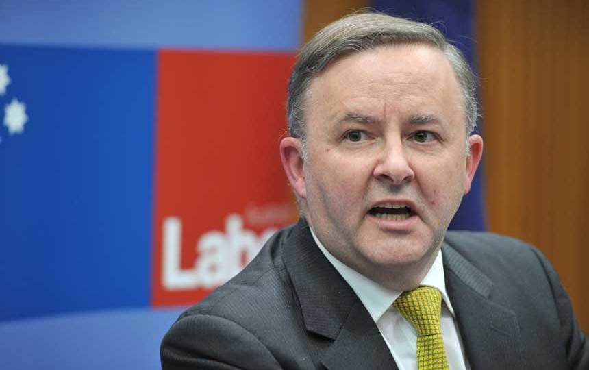 albanese leadership talk