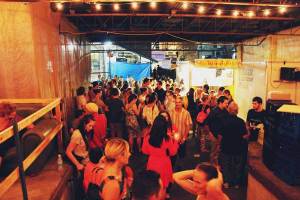 wandering-elephant-crowd