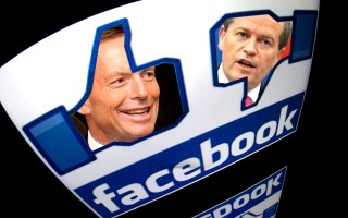 social politics