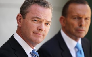 Chris Pyne