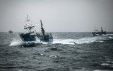 File photo of Japanese whaling ships in the Southern Ocean