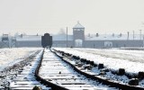 The tracks to Auschwitz, where doctors decided who would live or die.