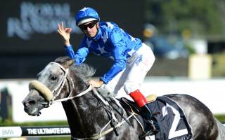 Reliable Man Hugh Bowman