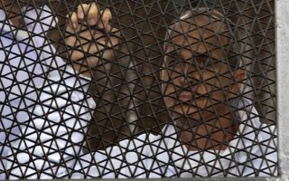 Peter Greste