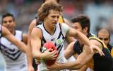 Nat Fyfe