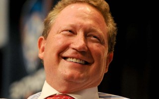 andrew twiggy forrest