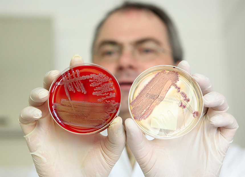 e-coli