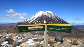 nz tourist fee