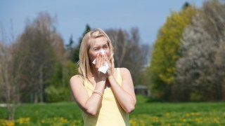 hay fever thunderstorm asthma