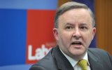 anthony albanese
