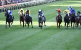 Cox plates
