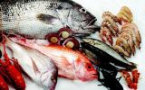med diet study