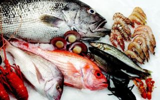 med diet study