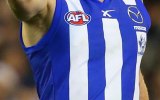North Melbourne jumper