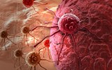 cancer cells