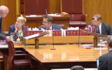 George Brandis attorney general senate