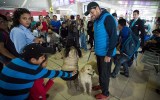Arthur stray dog Ecuador Swedish Team Peak Performance