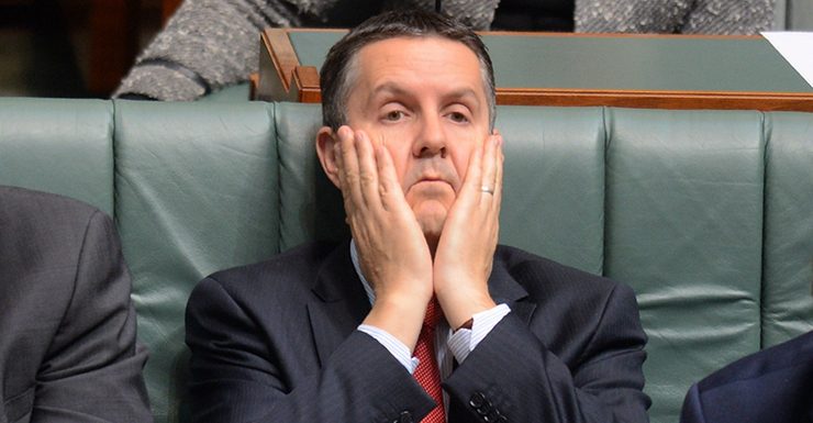 Shadow environment minister Mark Butler during House of Representatives question time at Parliament House Canberra, Wednesday, May 28, 2014. (AAP Image/Alan Porritt) NO ARCHIVING