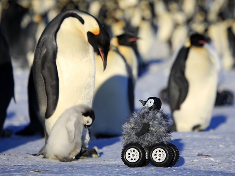 AAP. Penguin spy vehicle for scientific research.