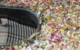 Martin Place flowers