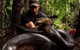 US naturalist Paul Rosolie allowed himself to be swallowed by an anaconda for a Discovery Channel documentary