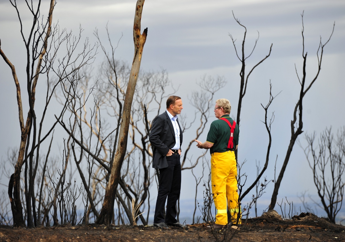 Tony Abbott