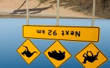 Down under is on top