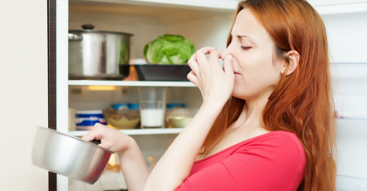 spoiled food shutterstock