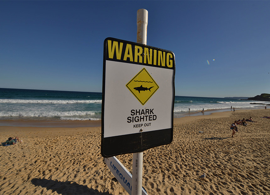 Shark-Attack-NSW