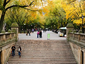 central-park-200215-newdaily