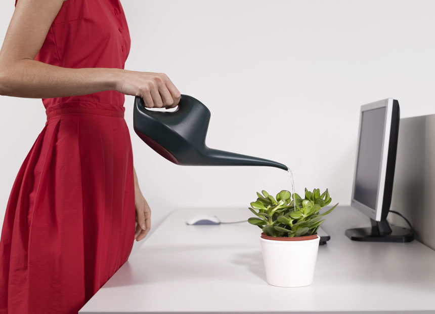 Desk plant office feng shui