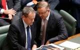 Labor albanese