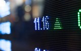 stock market