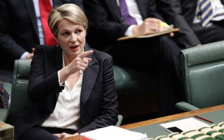 Ms Plibersek is has been a long time as a supporter of marriage equality.