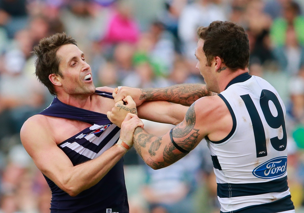 Cats Mitch Clark and Freo's Luke McPharlin wrestle it out.