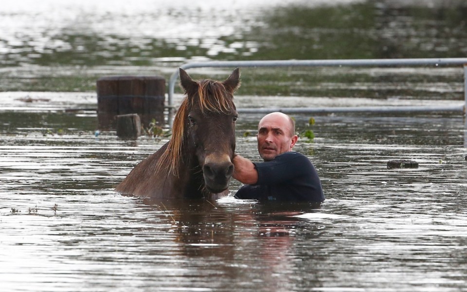 Steve Spowart tries to help a horse stranded in barbed wire in near Dungog.