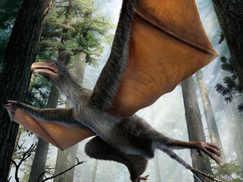 Artist's impression