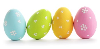 eggs-020415-newdaily