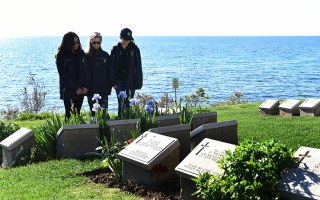 Gallipoli graves