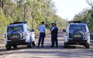 Stephanie Scott search